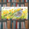 Книга П'ять вершин Ольга Сілакова (2605kro)